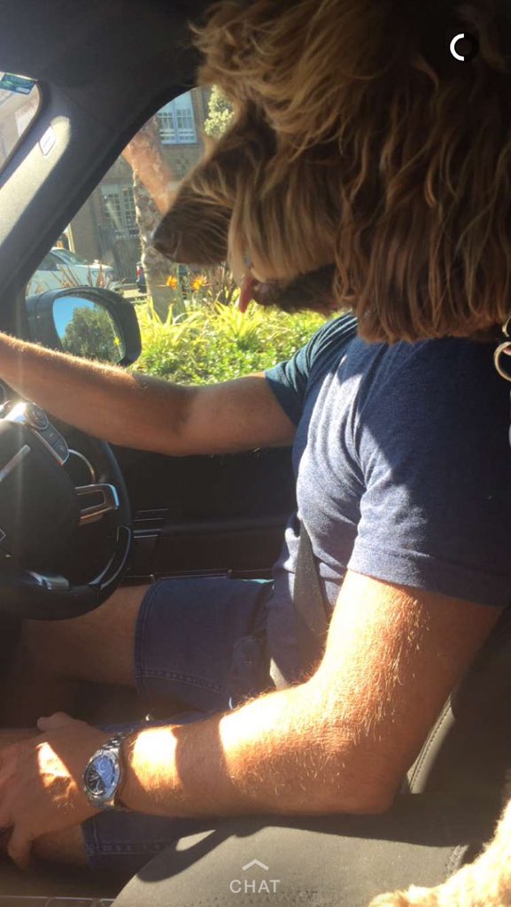 Flynn Botella tweet media