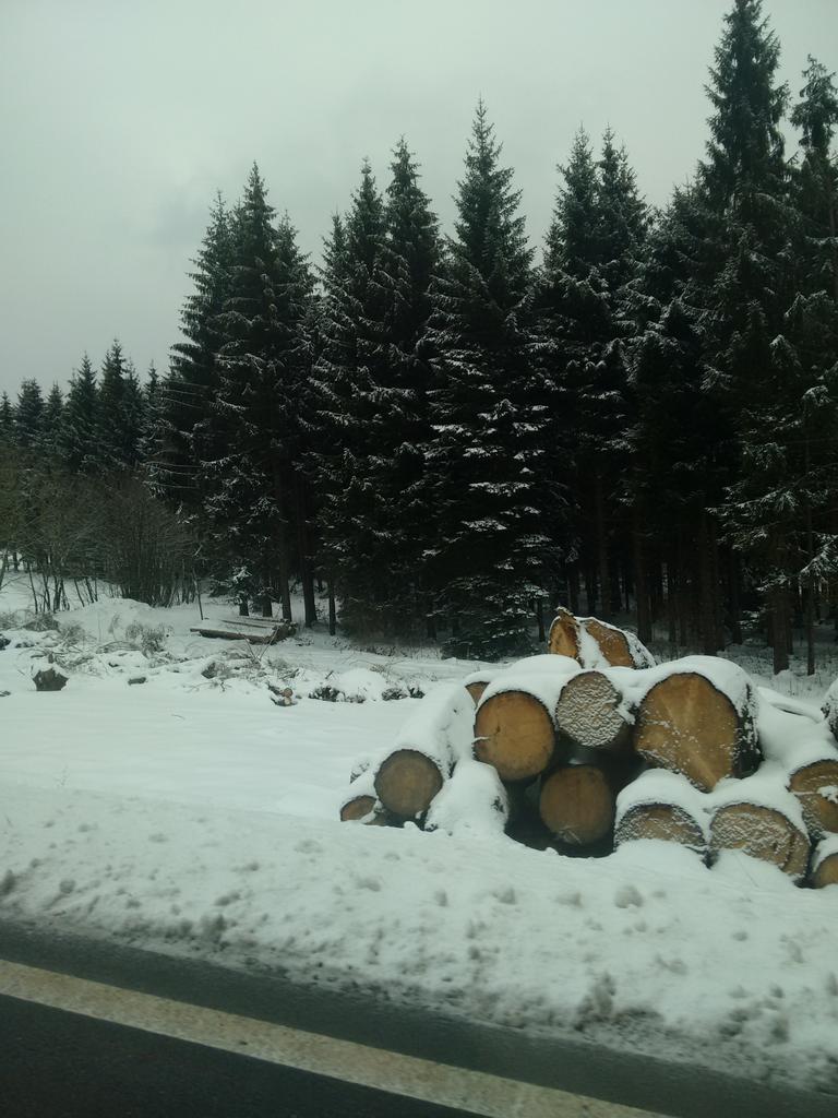 ingozw's tweet photo. Guten Morgen, Bayrischer Wald :)
#Rusel https://t.co/ahL0AbVIya
