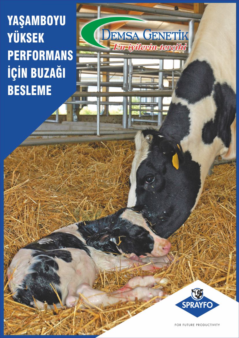 DemsaGenetik's tweet photo. Yaşam boyu yüksek performans için Buzağı besleme #demsagenetik #sprayfo #lifestart #buzağı #sperma #sunitohumlama https://t.co/Gtdm1OVr9s