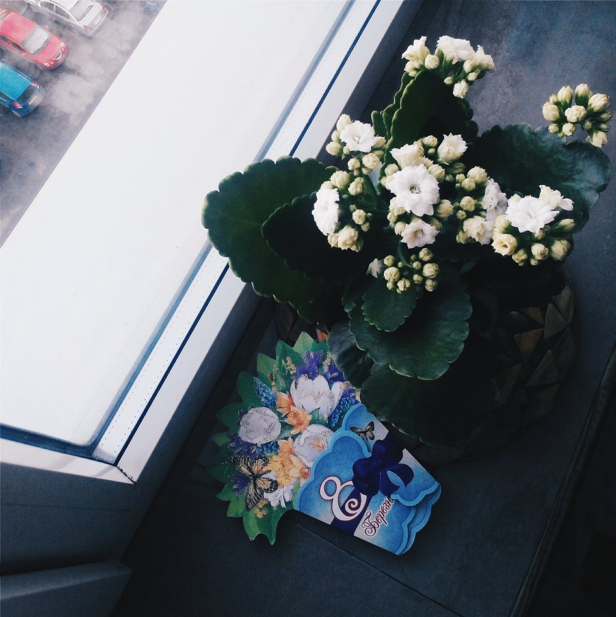 nastyadavoff's tweet photo. С 8 марта нас 🌷🌷 https://t.co/Sc6Wp2HknC