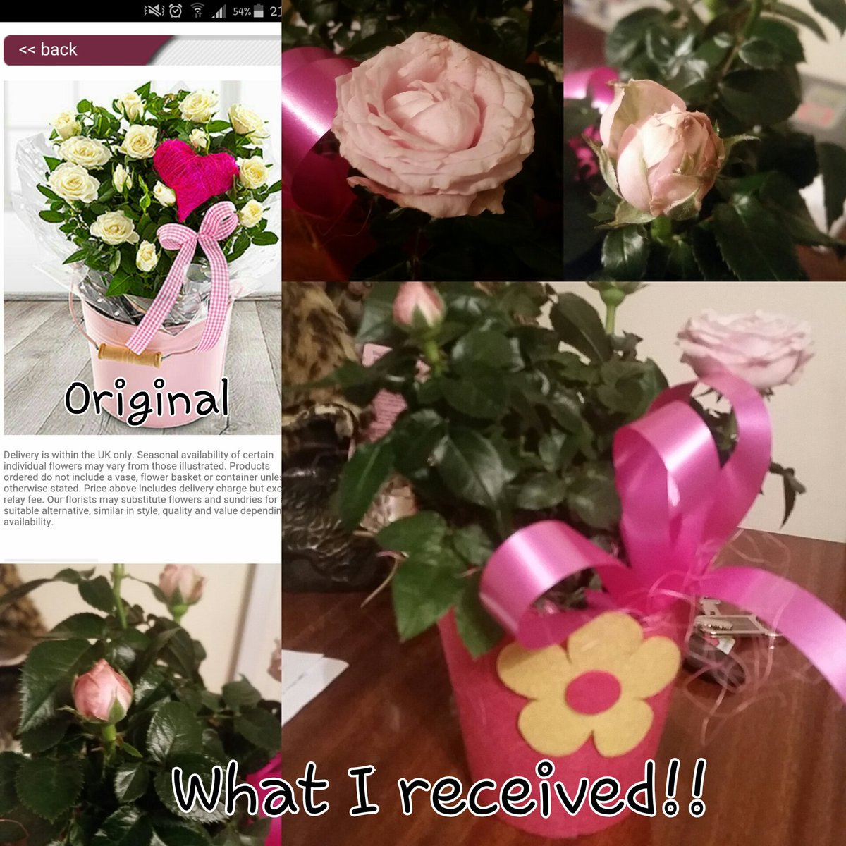 ManikaaP's tweet photo. Never ever order off #TeleFlorist #FlowerLand  in #Greenford again!  What a bunch of rubbish!!! https://t.co/ZDuervoHcP