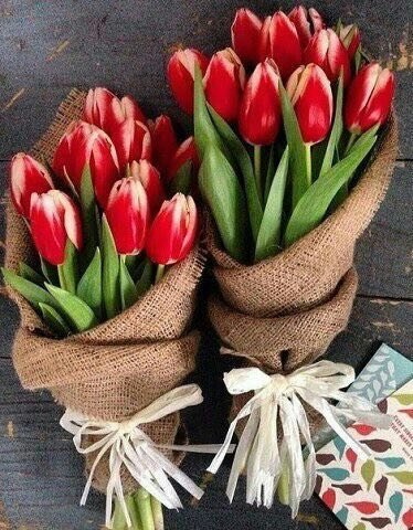 Узтвиплдаги барча бетакрор қизлар, аёллар, РТ!