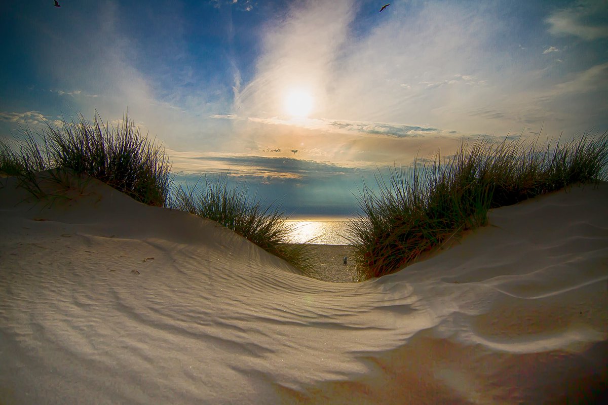 Havenlust's tweet image. @BeachPlaces Excellent ;-)