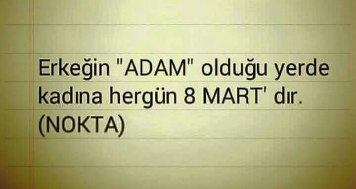 haydin tweet media
