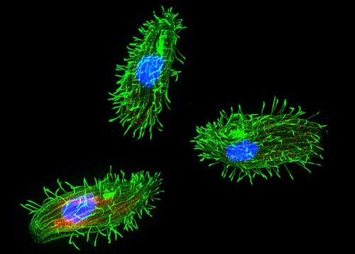 Jennifer Delaney 🔬 on Twitter: 