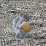 Photo by Becky & Brittany (@WorkSquirrel)