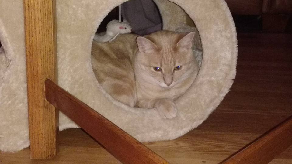 SmithShellie's tweet image. Ariel and I will miss you, Wrangler!  #WeLoveWrangler