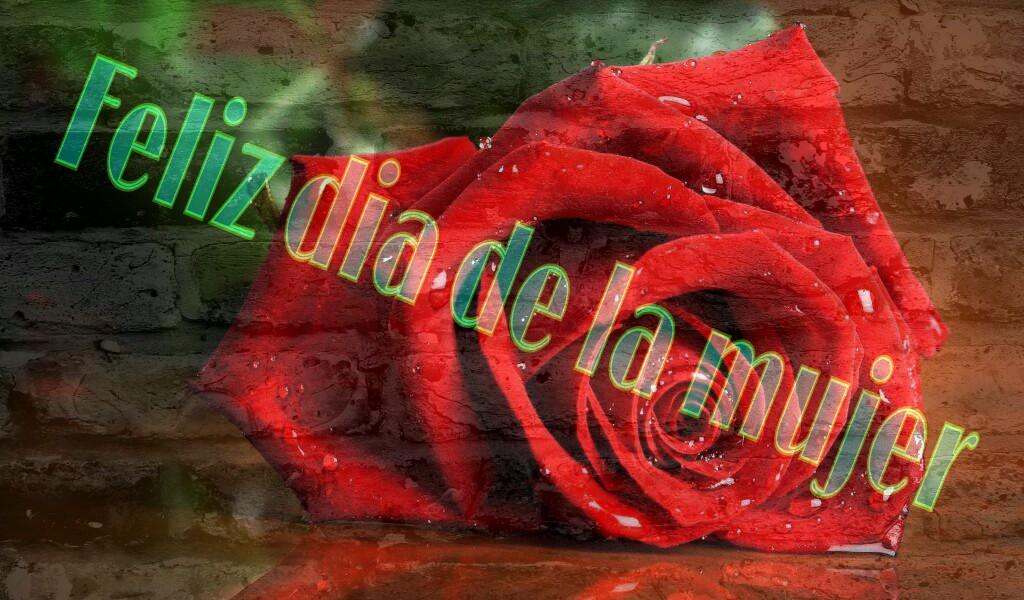 bravo Sebastián (@bravosebastian6) on Twitter photo 