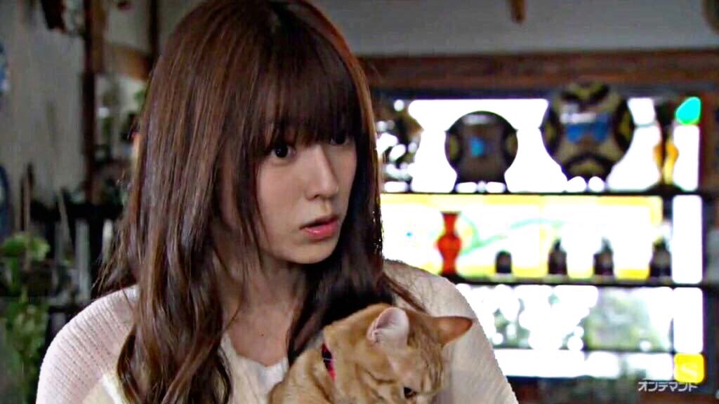 NIIQSY's tweet photo. 流石   日  .  高  判ッ てる  。 本当 可愛イ  よな   〜   この 表情  咎も  俺  好き   藁藁 https://t.co/gjI3VQ5ppJ