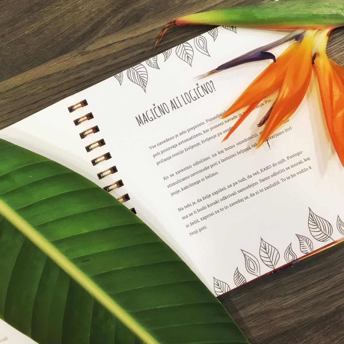 CodeYourReality's tweet image. #KnjigaTvojegaZivljenja #visitljubljana #books #wishes #inspire #happy #life #slovenia ow.ly/ZcPx7