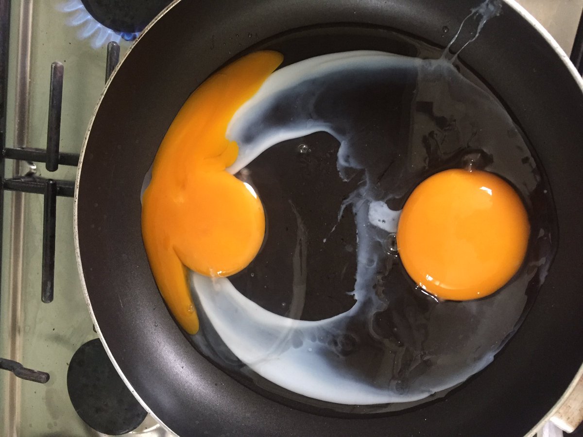 JackCornthwaite's tweet photo. Goose egg gainz! #bigbird #youdunknow #countryliving #getit https://t.co/UhcppOjhEi