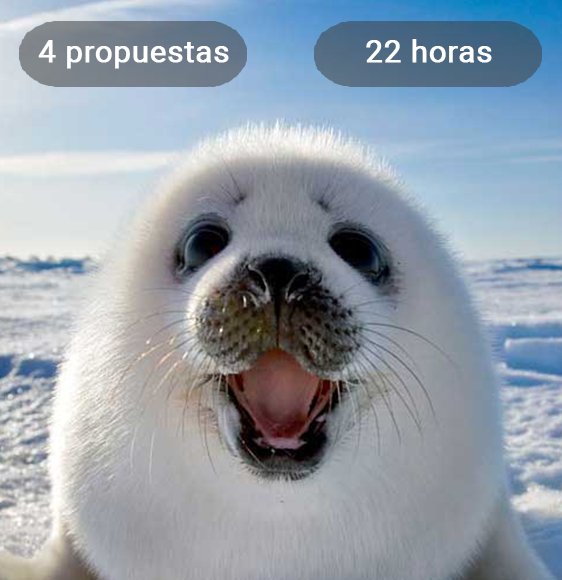 #FelizMartes Ir a correr,tomar algo..o conseguir una foca bebé!Y tú,¿qué deseo pedirás hoy? q-r.to/pideundeseo