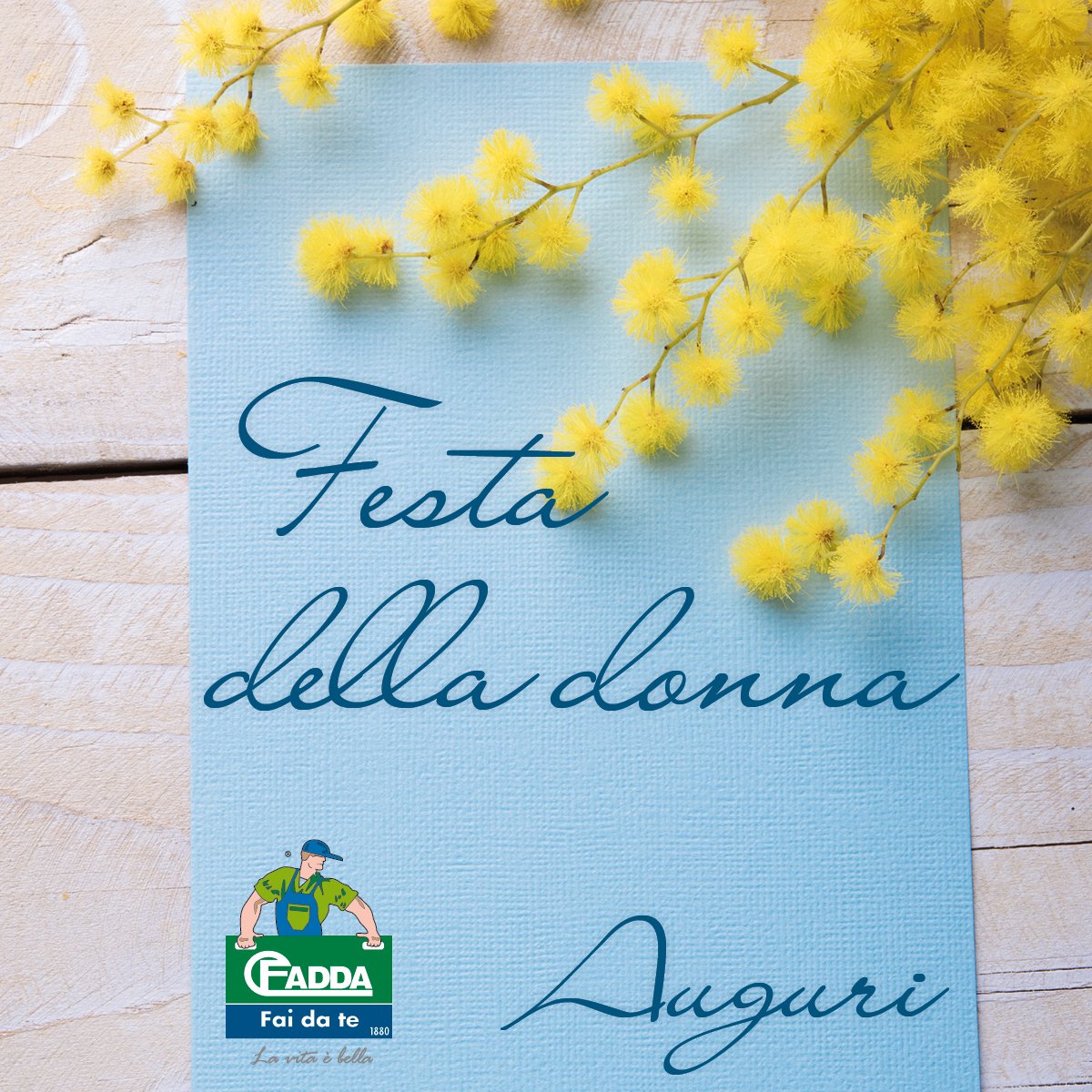 CFaddaFaiDaTe's tweet photo. Auguri a tutte le #Donne: mente e cuore del #bricolage! https://t.co/XQSZz3XHB4