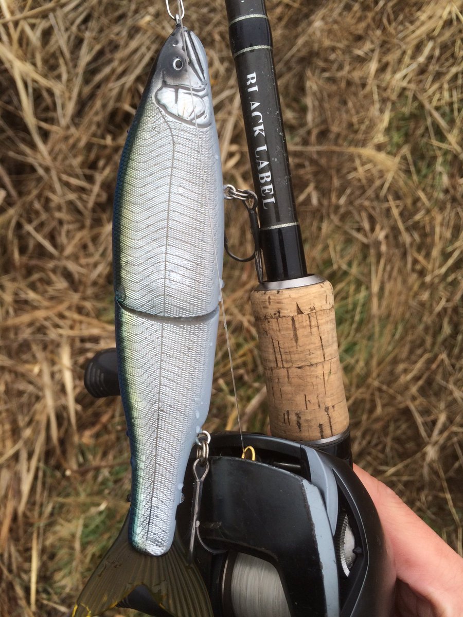 佐々木勝也 フィッシュアローさんのグライドジャックのプロト レスポンスが良いので 軽いトゥイッチでバビューンが出来るのが特徴ですね W フローティングですが 巻いてレンジを深くすると その水深でサスペンドしてくれる優れ物です T Co