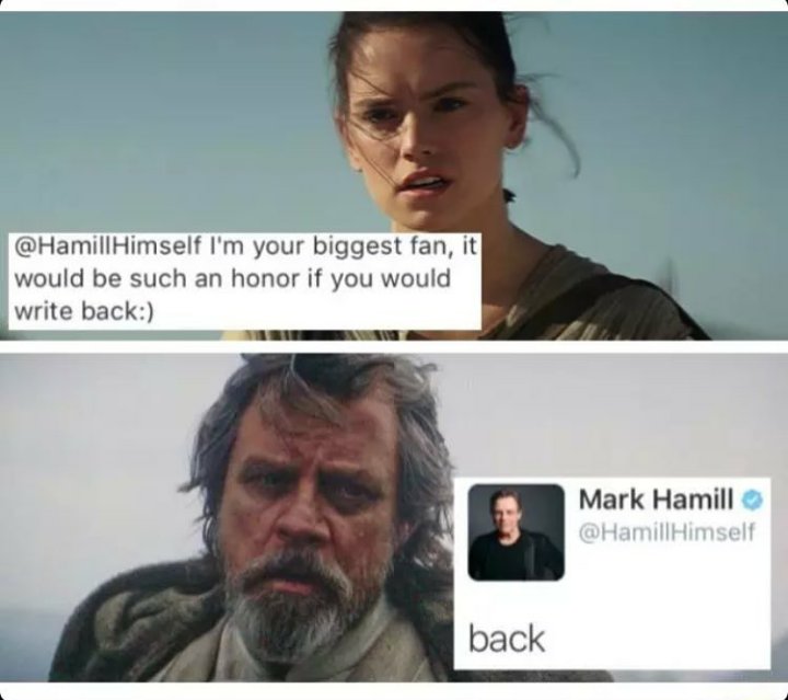 HaydenChief's tweet image. @HamillHimself 😂😂😂 I can&apos;t stop laughing