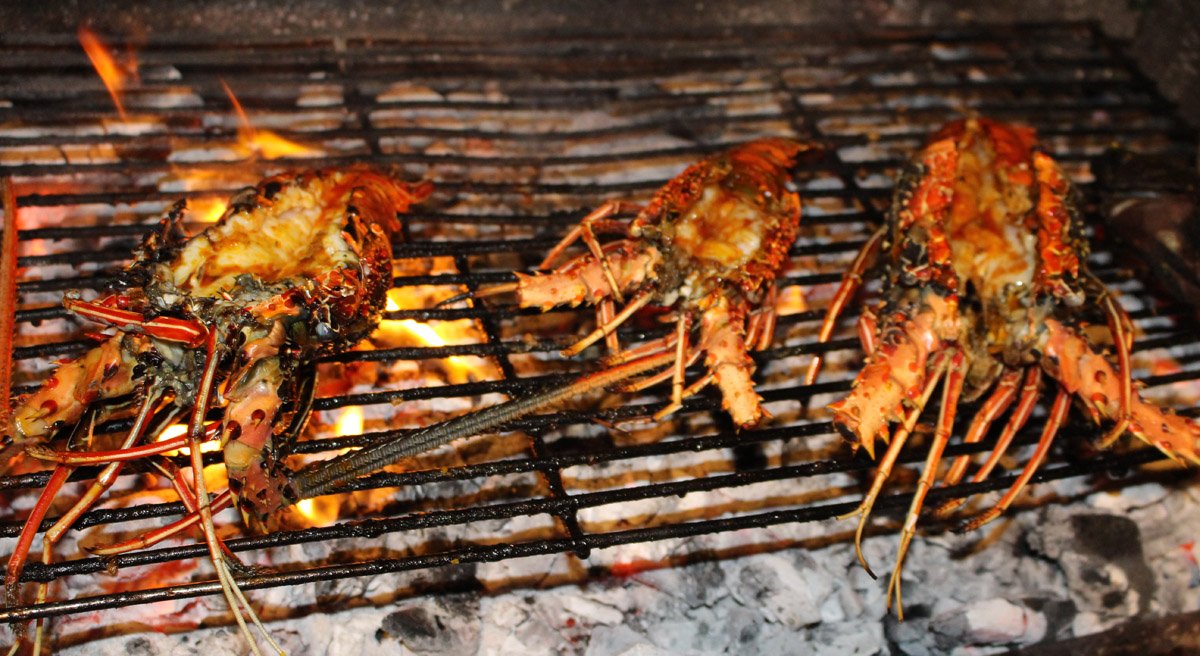 JayakartaKomodo's tweet photo. Don't miss join with Us Barbecue Dinner tomorrow Night only IDR 150 K / person, 9 March 2016 #barbecue #labuanbajo https://t.co/HGZ6P1eJFo