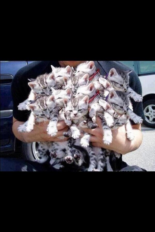 How to win my heart
