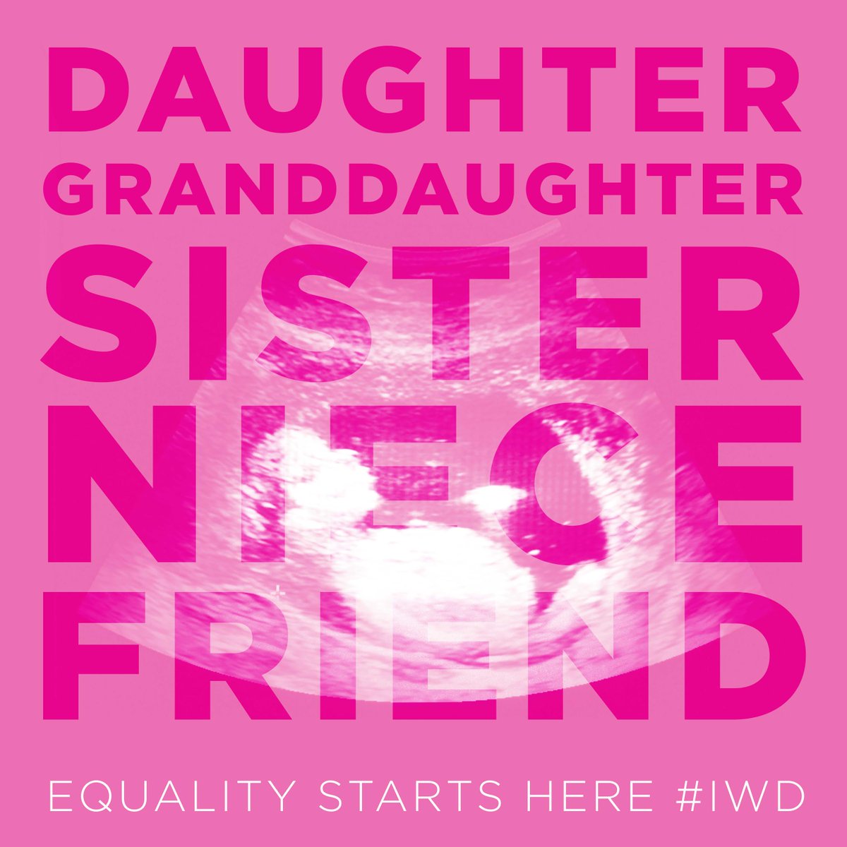 prolifecampaign's tweet photo. For #iwd, let's remember that #equalitystartshere #prolife https://t.co/HXcwfr1BjX