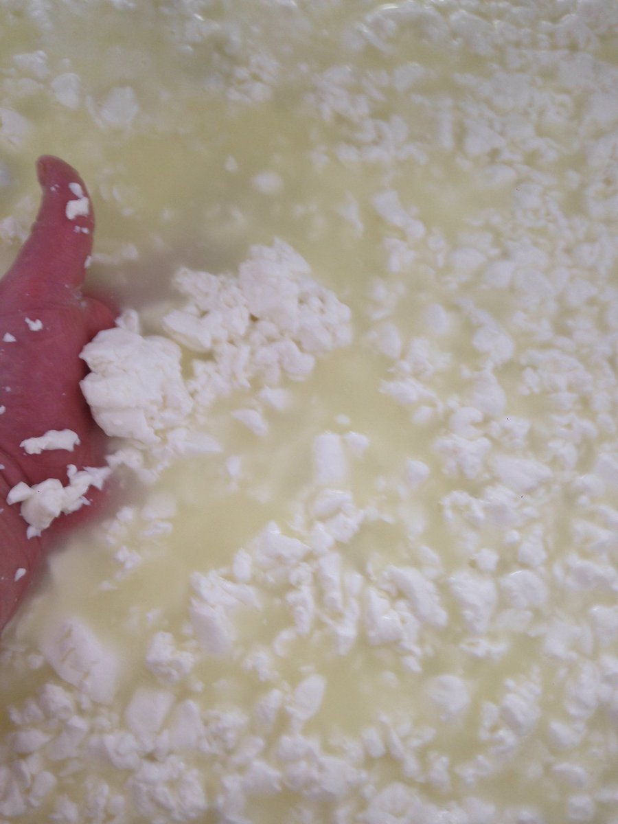 C est parti !! Mise en moules des petolets affinés