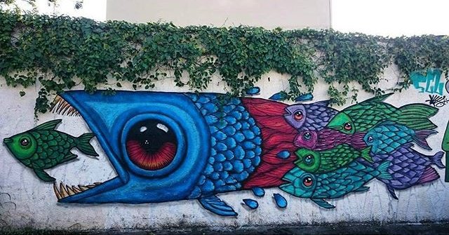 HubStreetArt's tweet photo. São Paulo #streetart #art https://t.co/Opfqfkb8Um