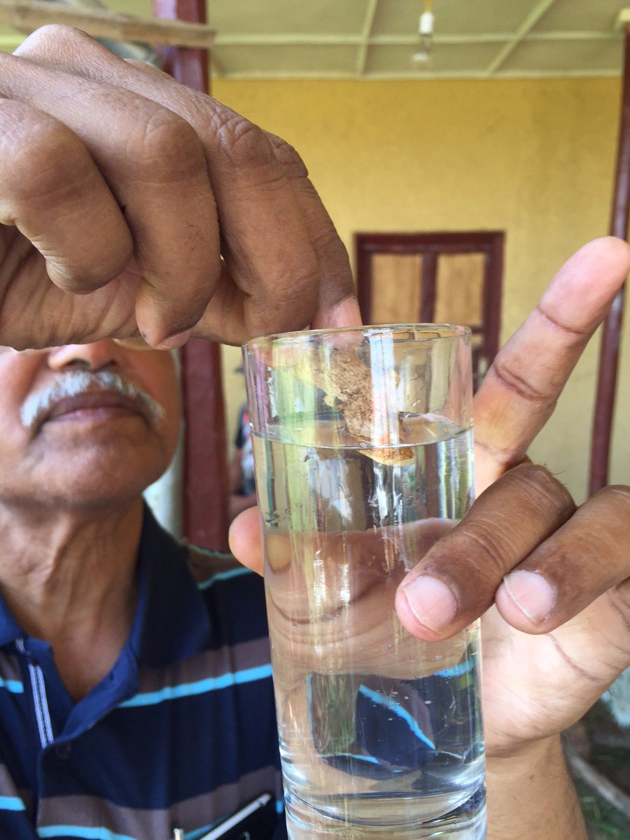 Govind_ITC's tweet photo. @ITC_SITA #SITAinEthiopia brings scientific practices for ginger cultivation and processing in #Sodo @ITCnews https://t.co/3DFoCQmYWe