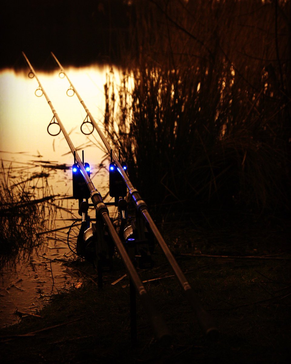 The nights are getting shorter, hopeful of some fish rather than rod shots...