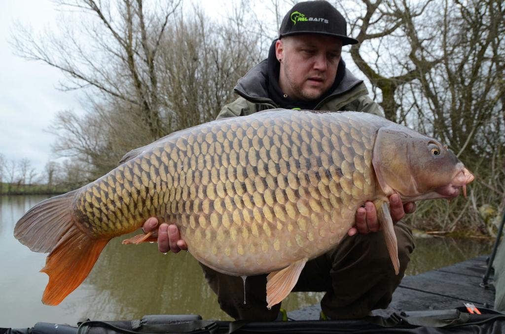 BaitsLive's tweet photo. What a morning :). Test our freshbaits ;) just give it a try . #Fishing #France #R&amp;LBaits # Carp # Boilies https://t.co/y2UxtrCAq3