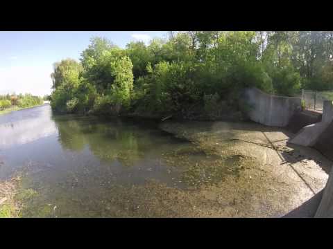 fishing_hd's tweet photo. #fishing #hd Scajaquada Creek Carp Fishing https://t.co/doGWio37Wg https://t.co/rN56mIPsuu