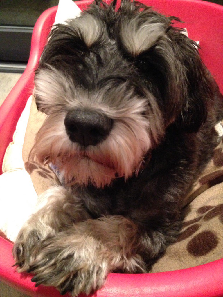 Fiona Adams tweet media