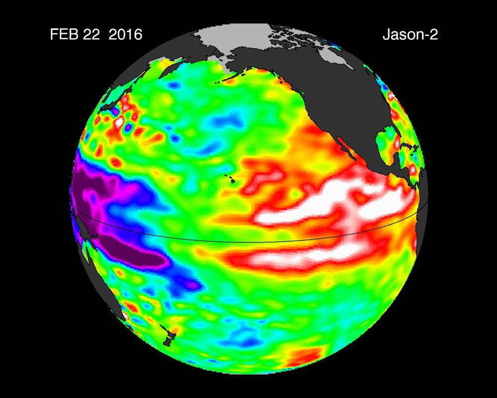 Climate Reality tweet media