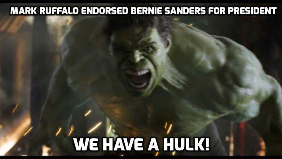 New Zealand 4 Bernie tweet media