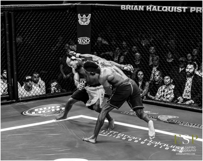 TheFightLeague's tweet photo. In Pictures | SFL 46 #USA
#MMA #India #SFL46 https://t.co/sca93mnKv9