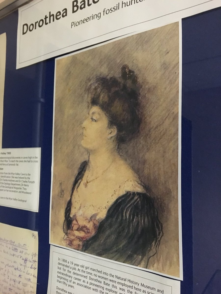 NHM_Learn's tweet photo. Dorothea Bate worked at the NHM for over fifty years, and was a pioneering archaezoologist #InternationalWomensDay https://t.co/jWyP34ki5c