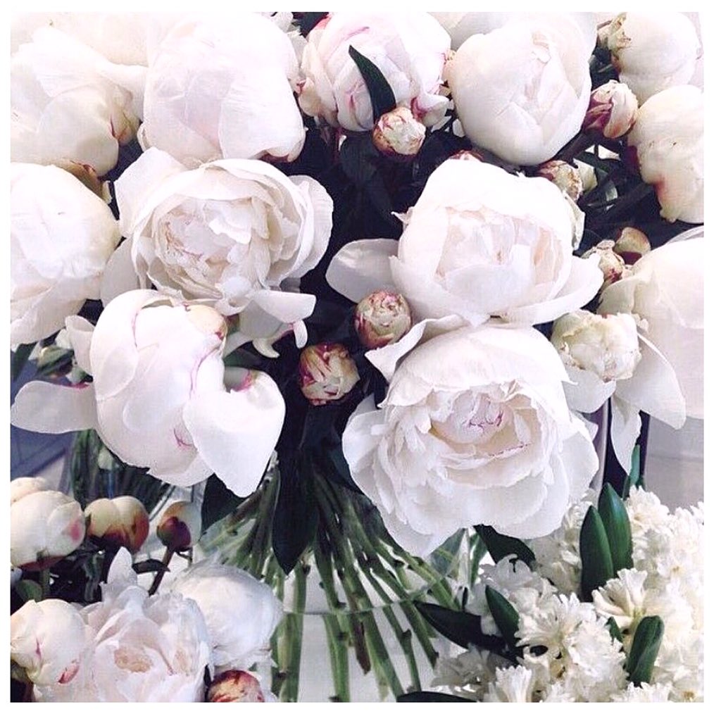 WildHeartsUk's tweet photo. Nothing like a big bunch of peonies to brighten up a Tuesday morning in the studio! #InternationalWomensDay #Love https://t.co/kWeJvMbLGR