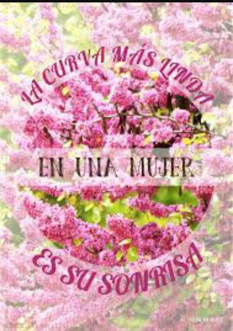 DJGENIUS31's tweet photo. FELIZ FELIZ  DÍA  DE LA MUJER  !!!!!!! A TODAS MUCHISIMOS BESOS !! https://t.co/v08TTMNHbu