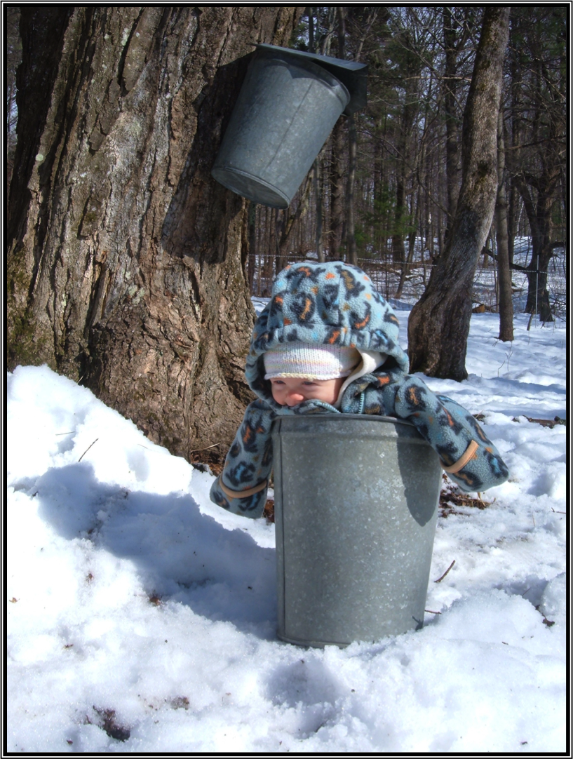 farmerdarrell's tweet photo. .@THISISVT Multitasking on the #homestead: #maple sap is flowing in #VT today! #UpTunket Farm https://t.co/WityVLvjMC (via @Carriesavagevt)