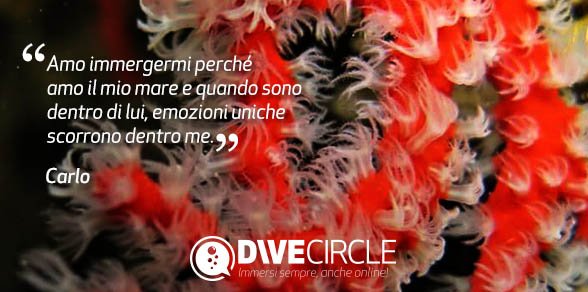 Dive_Circle's tweet photo. Un pensiero scritto da Carlo per #DiveCircle.Scrivici anche tu perchè ami le #immersioni utilizzando #LoveDive https://t.co/M7Vrhb4wyz