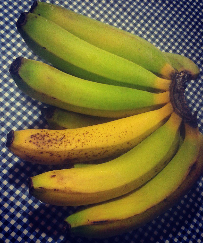 maurocavanha's tweet photo. O objetivo sempre é chegar antes e amadurecer cada vez mais!!
Por aqui até banana compete!! Kkkkk https://t.co/uL86ECVsCT