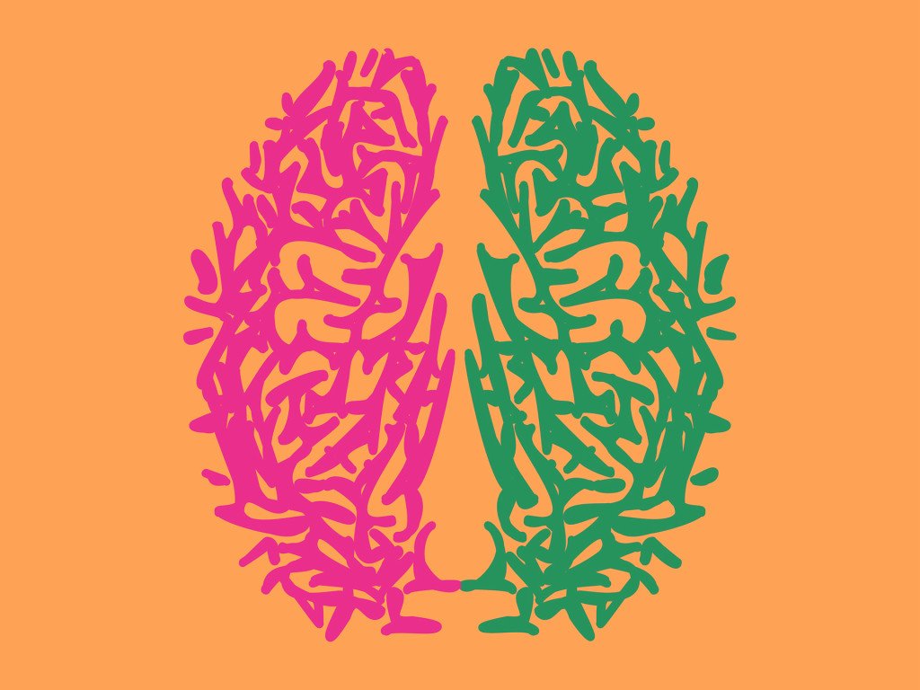 sciencemuseum's tweet photo. #LunchtimeReading today looks at how being bilingual changes the architecture of your brain https://t.co/AehngxCWsF https://t.co/j05AI93aCh