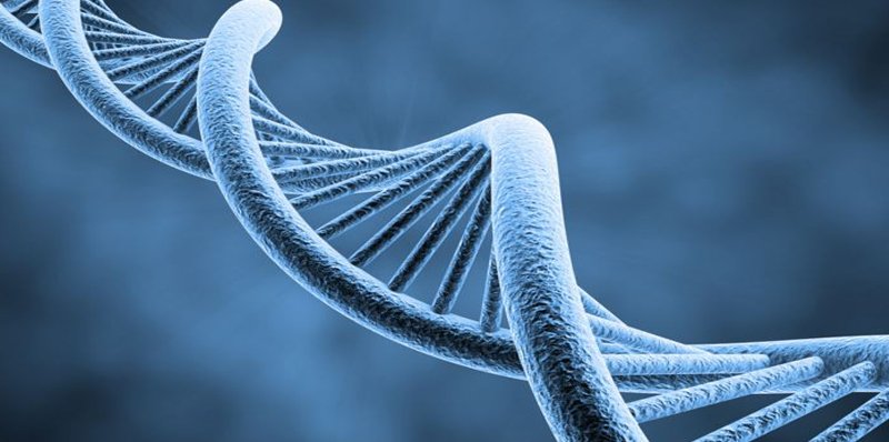 #Genetics &amp; genomics are changing the world of #medicine. We welcome <a href="/TheACMG/">ACMG</a> to Tampa bit.ly/1T7sbuH