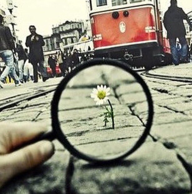 mshal501's tweet image. الظروف ، سفن الراحلين أحدهم ركبها رغماً عنه واﻵخر بإرادته .