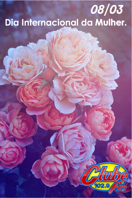 ClubeFmGoiania's tweet photo. Hoje é o dia delas.E a Clube deseja muito mais que flores, desejamos a vocês mulheres, muito respeito. https://t.co/TgTETl0NuX