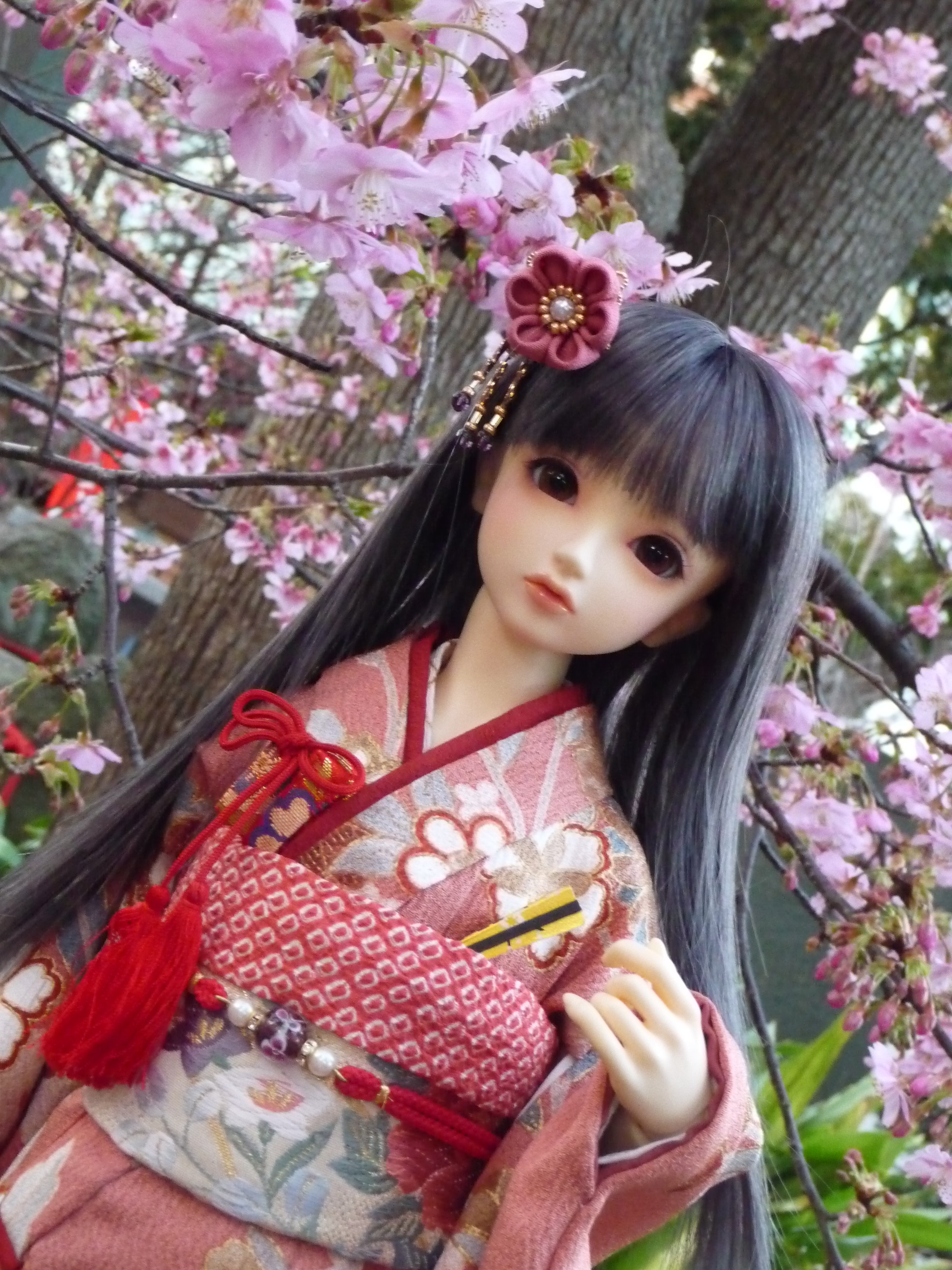 値下最終価格】 volks スーパードルフィー クロード 闇の野獣 値下最終価格】 volks スーパードルフィー クロード 闇の野獣