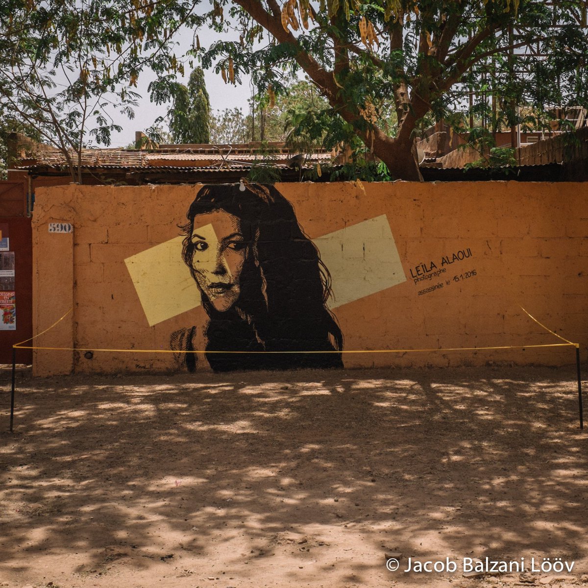 Jacob Balzani Lööv tweet media