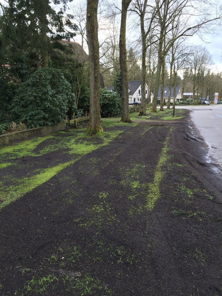 In Apeldoorn worden de bermen bemest ipv verschraald, lang leve de bomen!
