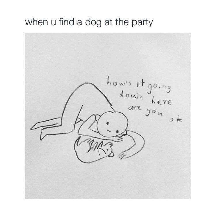 JamessSykess's tweet photo. Every time keeleh has a connie party and Molly walks in https://t.co/Q4WssCgV4O