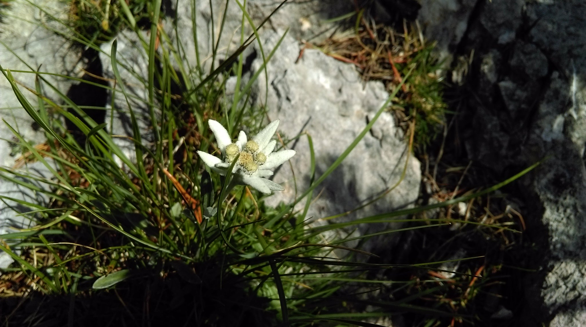 CdC-JX8XIAAyvb_.jpg:large