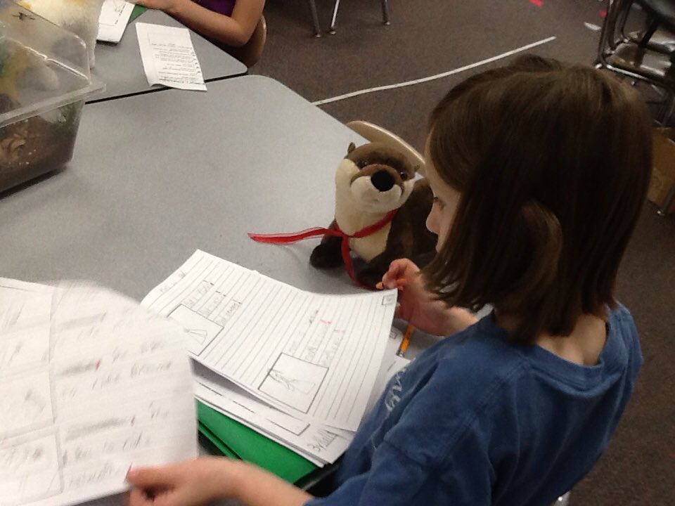ReneeLWhite5's tweet photo. Publishing #NF All Abouts as an #author is more fun w @Buncee &furry friends.#lpeswake @Boosterthon #classincentive https://t.co/zS9fpzkIbC