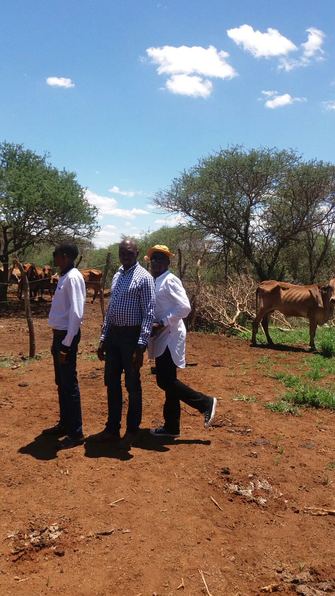 Zuluskhothane's tweet image. At the farm with team Zulu