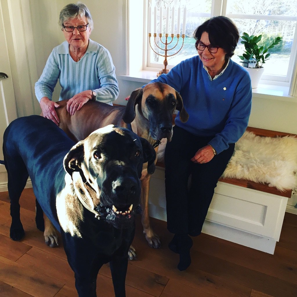 Ebba Busch On Twitter Parhenriksson Neeej Bella Leker Aven Med Katter Hon Ar Tuff Men Snall